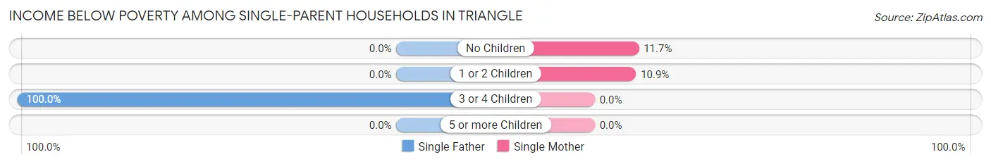 Income Below Poverty Among Single-Parent Households in Triangle