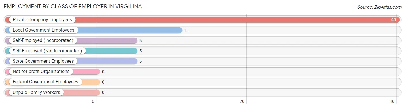 Employment by Class of Employer in Virgilina