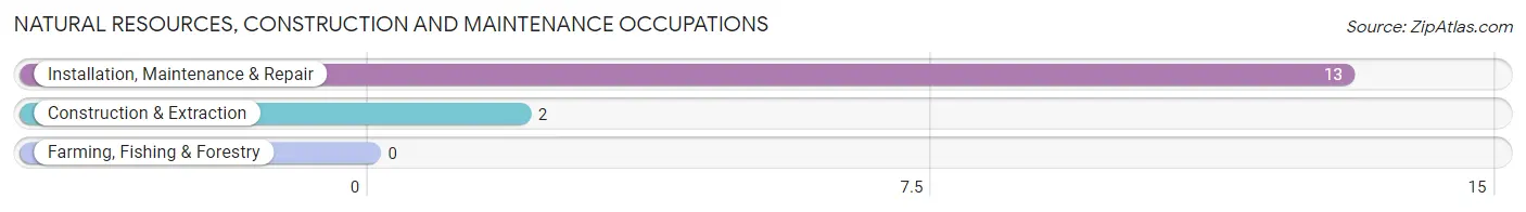 Natural Resources, Construction and Maintenance Occupations in Virgilina