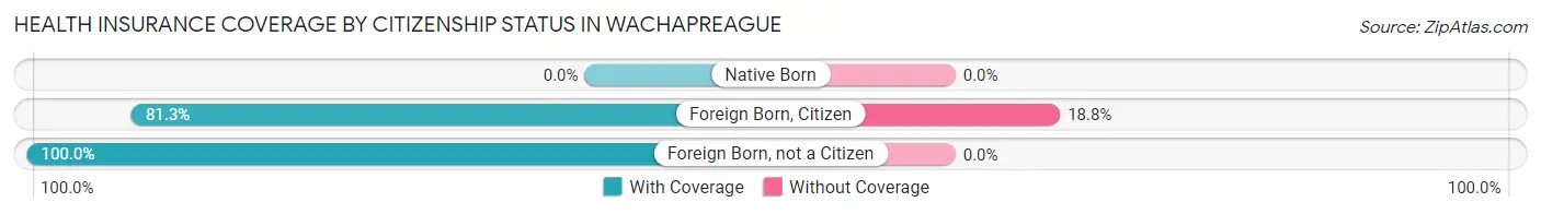 Health Insurance Coverage by Citizenship Status in Wachapreague
