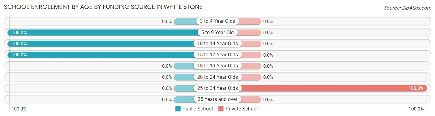 School Enrollment by Age by Funding Source in White Stone