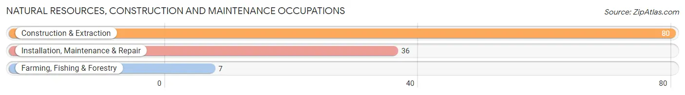 Natural Resources, Construction and Maintenance Occupations in Windsor