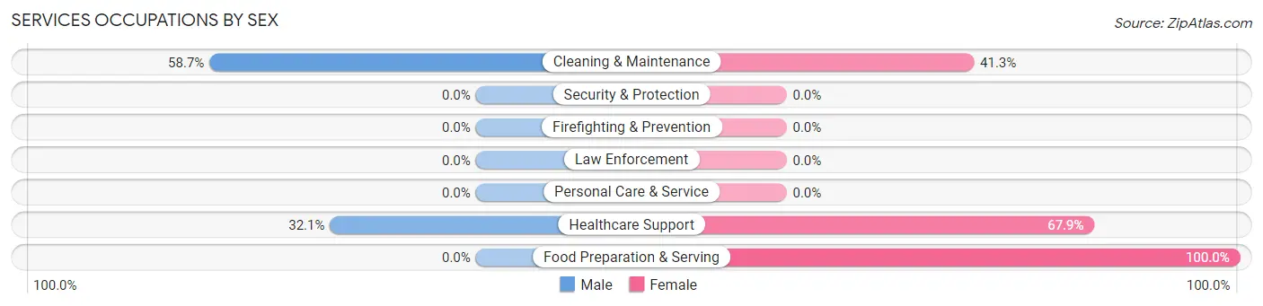 Services Occupations by Sex in Ascutney