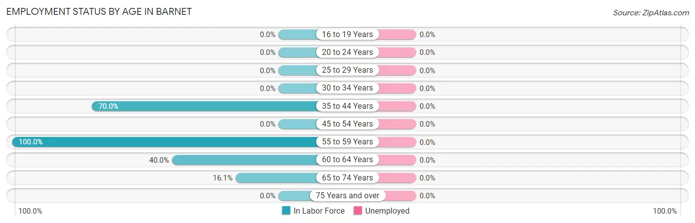 Employment Status by Age in Barnet