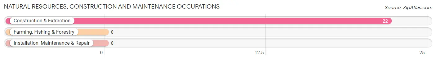 Natural Resources, Construction and Maintenance Occupations in Barton