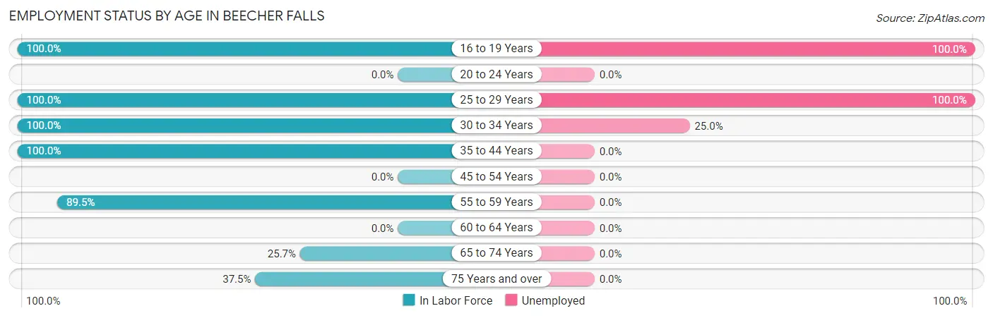 Employment Status by Age in Beecher Falls