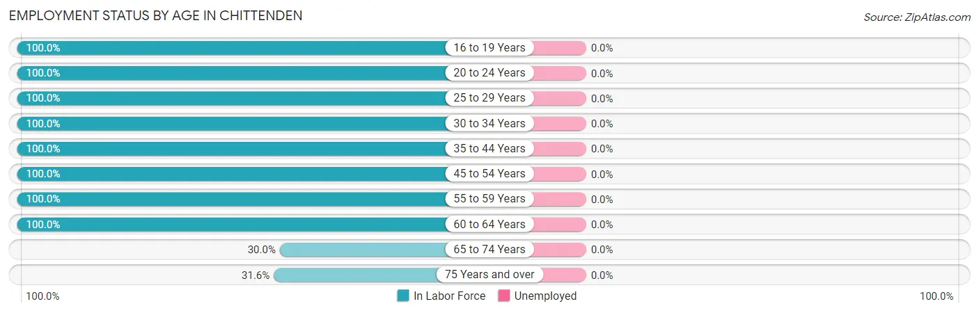 Employment Status by Age in Chittenden