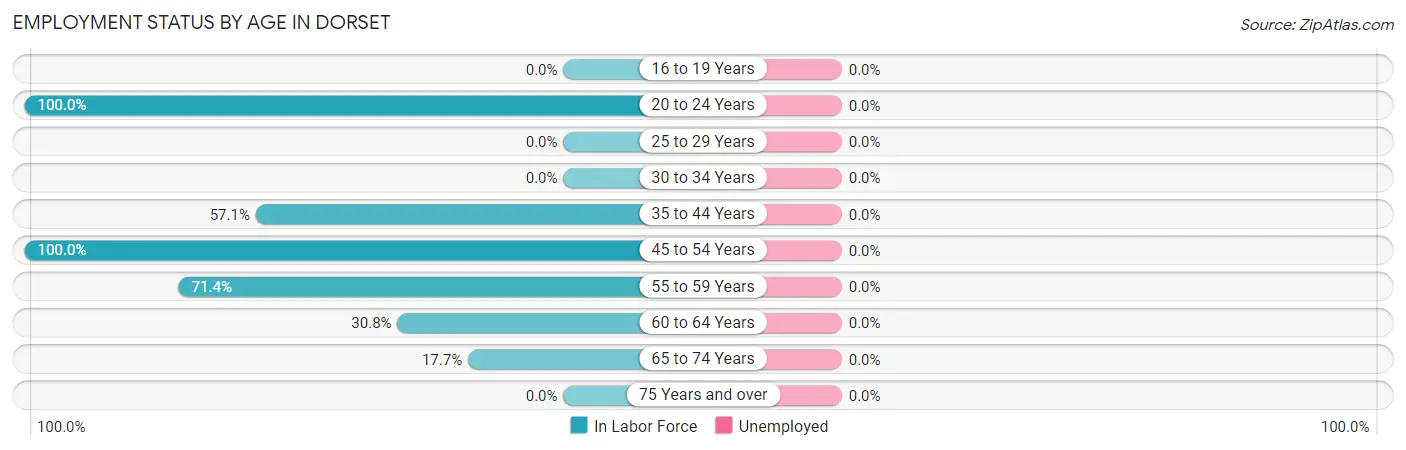 Employment Status by Age in Dorset