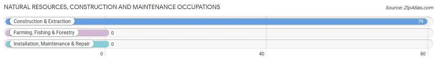 Natural Resources, Construction and Maintenance Occupations in East Barre