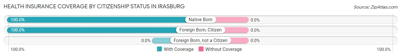 Health Insurance Coverage by Citizenship Status in Irasburg