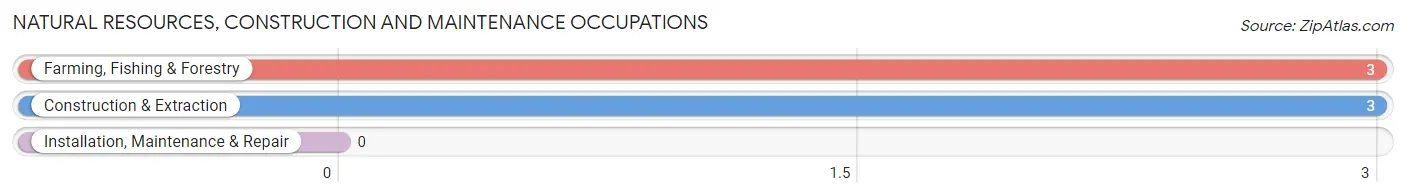 Natural Resources, Construction and Maintenance Occupations in Irasburg