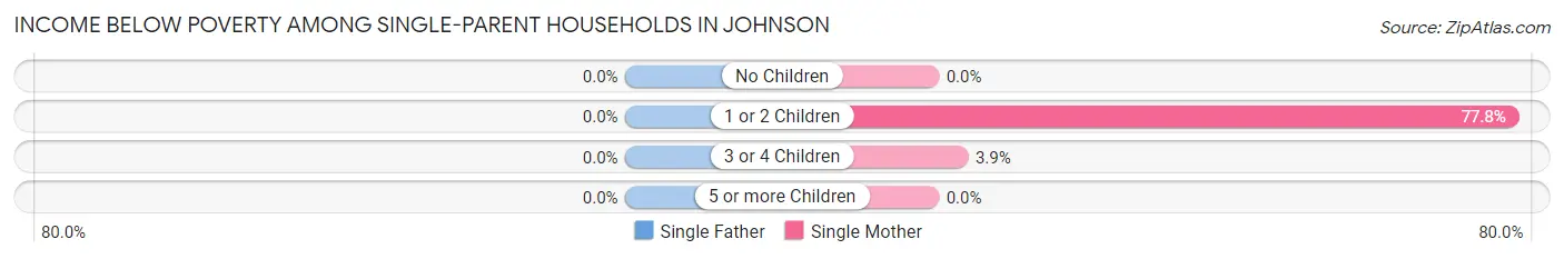 Income Below Poverty Among Single-Parent Households in Johnson