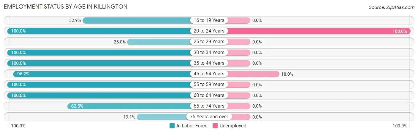 Employment Status by Age in Killington
