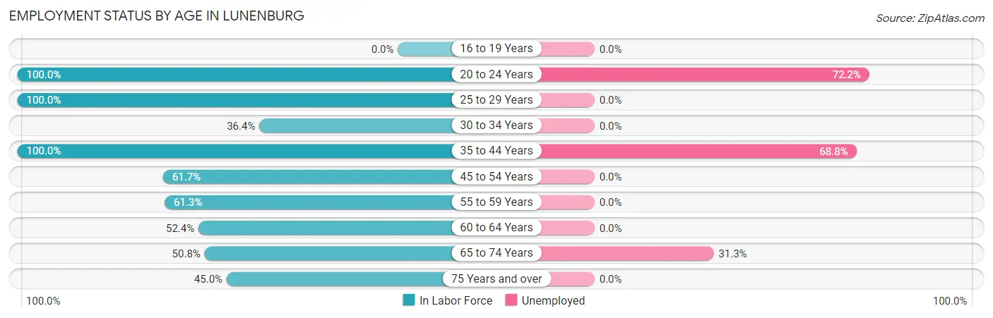 Employment Status by Age in Lunenburg
