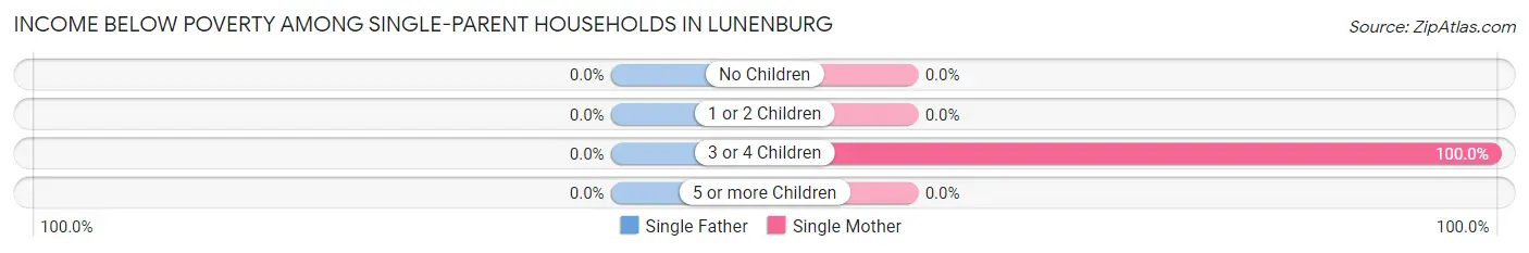 Income Below Poverty Among Single-Parent Households in Lunenburg