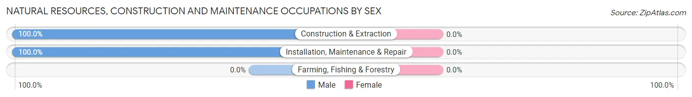Natural Resources, Construction and Maintenance Occupations by Sex in Middletown Springs