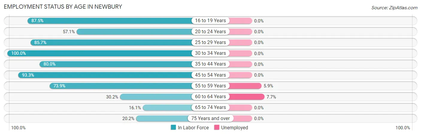 Employment Status by Age in Newbury
