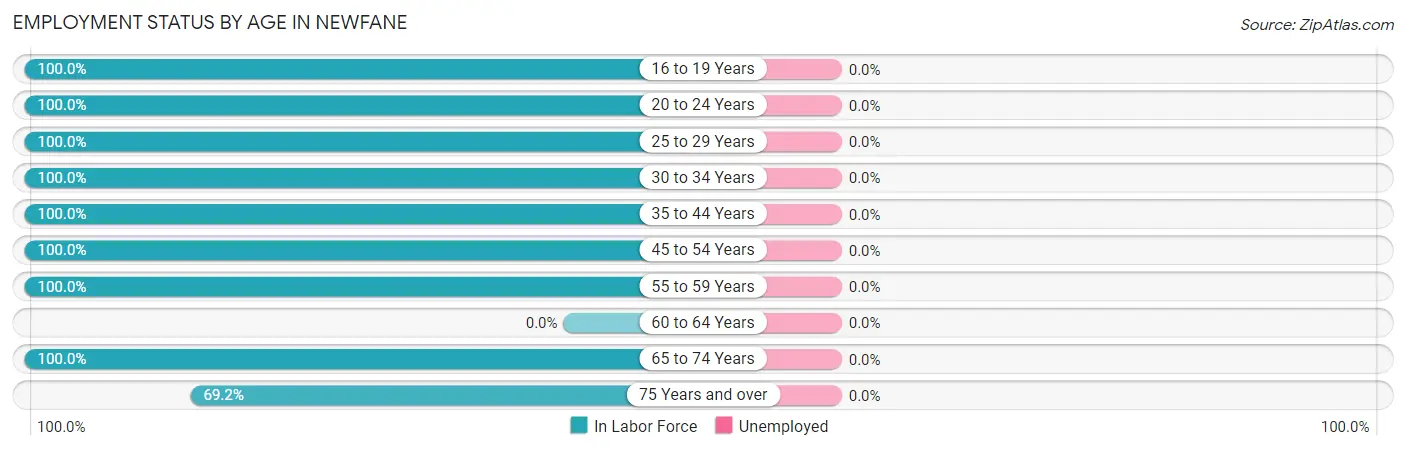 Employment Status by Age in Newfane