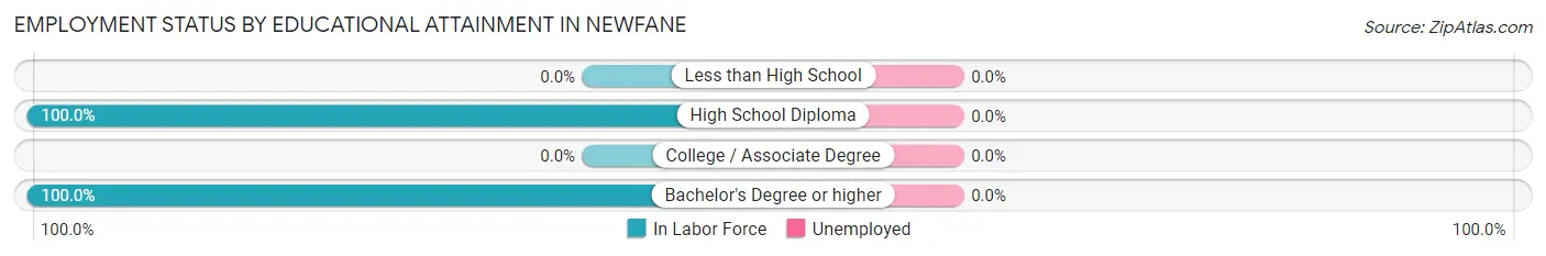 Employment Status by Educational Attainment in Newfane