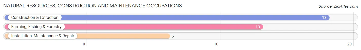 Natural Resources, Construction and Maintenance Occupations in North Bennington