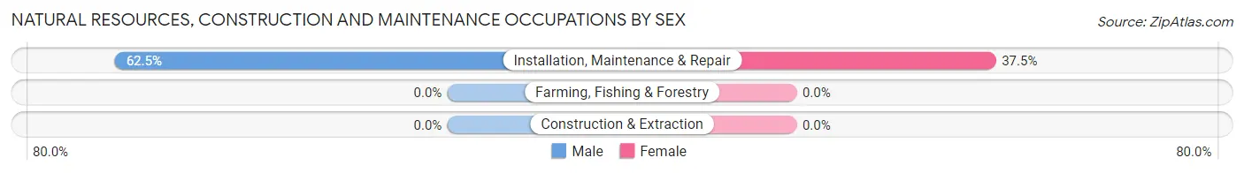 Natural Resources, Construction and Maintenance Occupations by Sex in Pittsford
