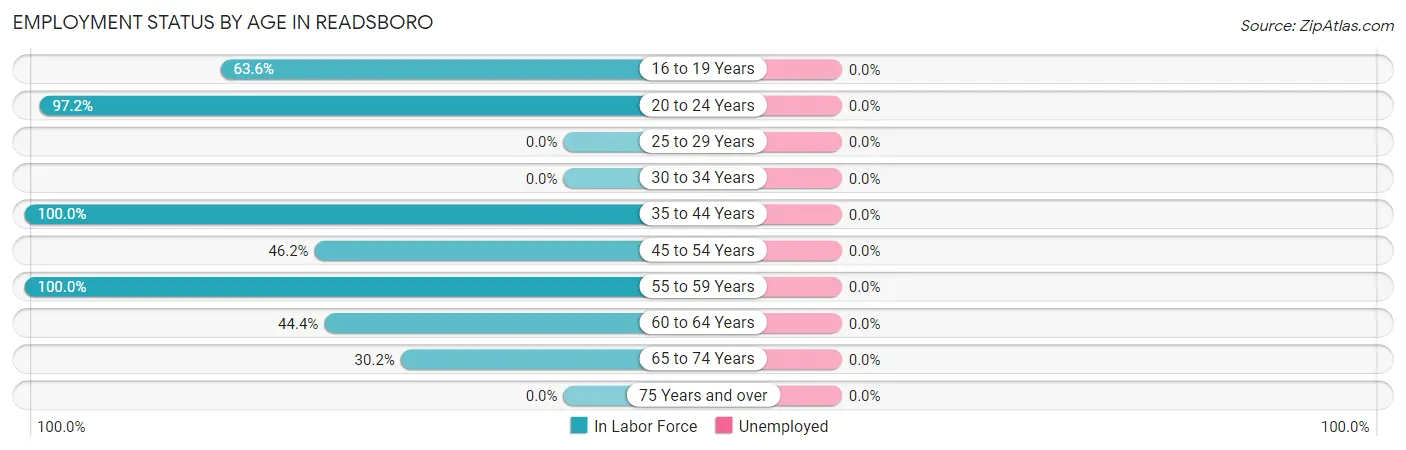 Employment Status by Age in Readsboro
