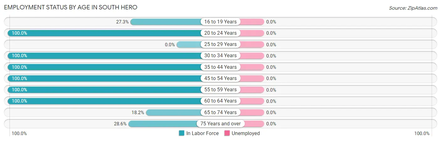 Employment Status by Age in South Hero