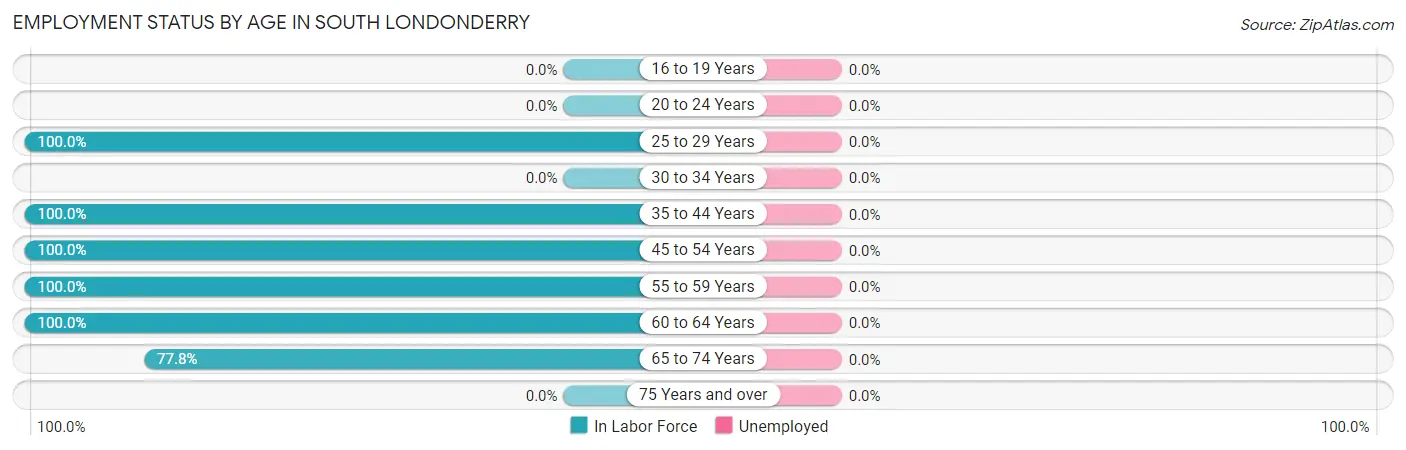 Employment Status by Age in South Londonderry