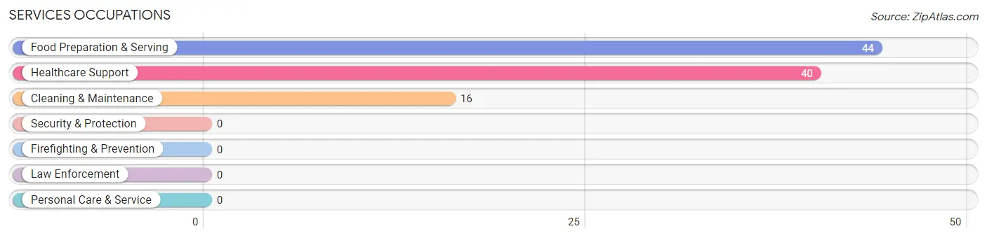 Services Occupations in South Londonderry