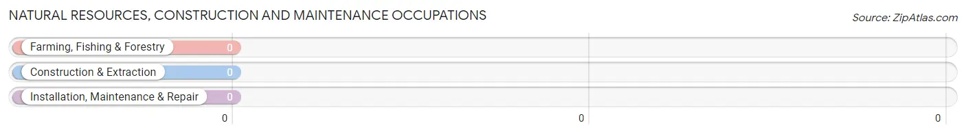 Natural Resources, Construction and Maintenance Occupations in South Royalton