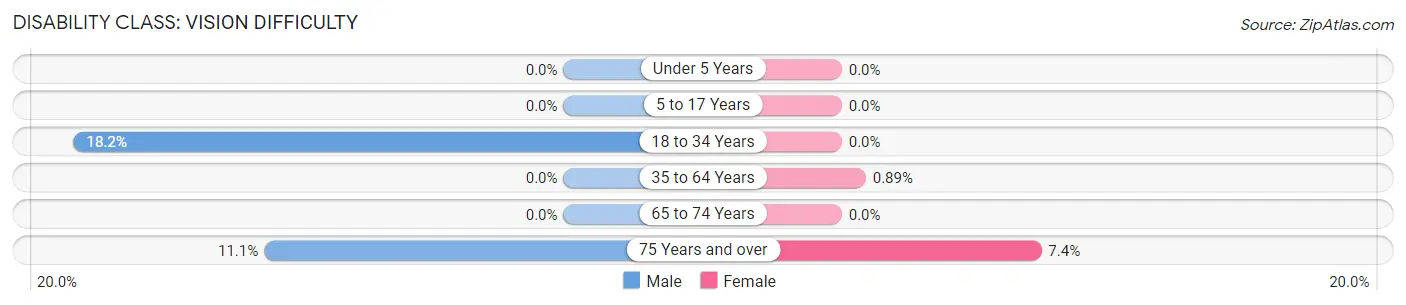 Disability in Stamford: <span>Vision Difficulty</span>