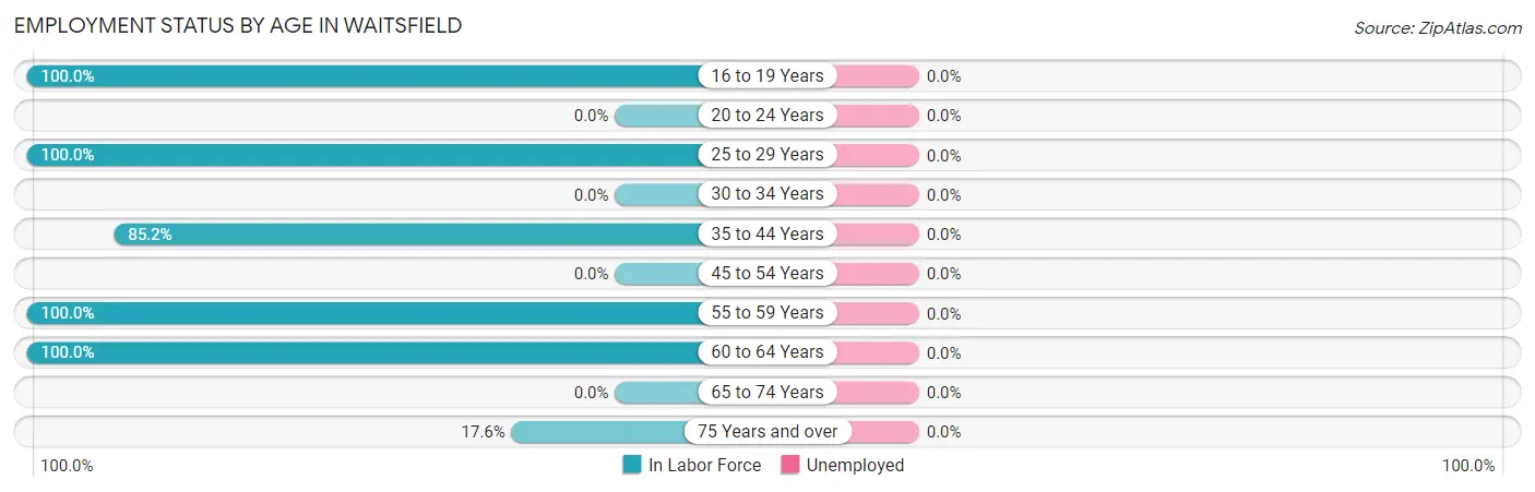 Employment Status by Age in Waitsfield