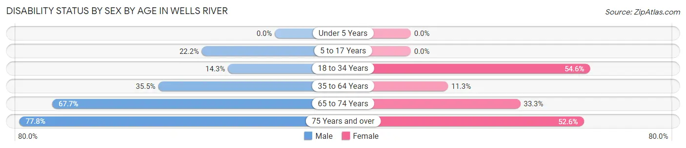 Disability Status by Sex by Age in Wells River