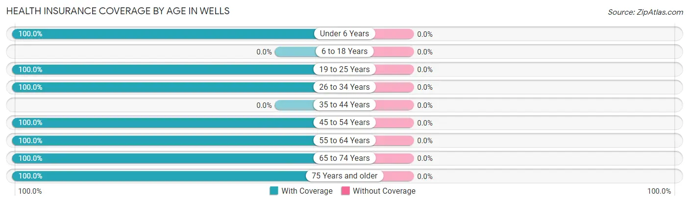 Health Insurance Coverage by Age in Wells