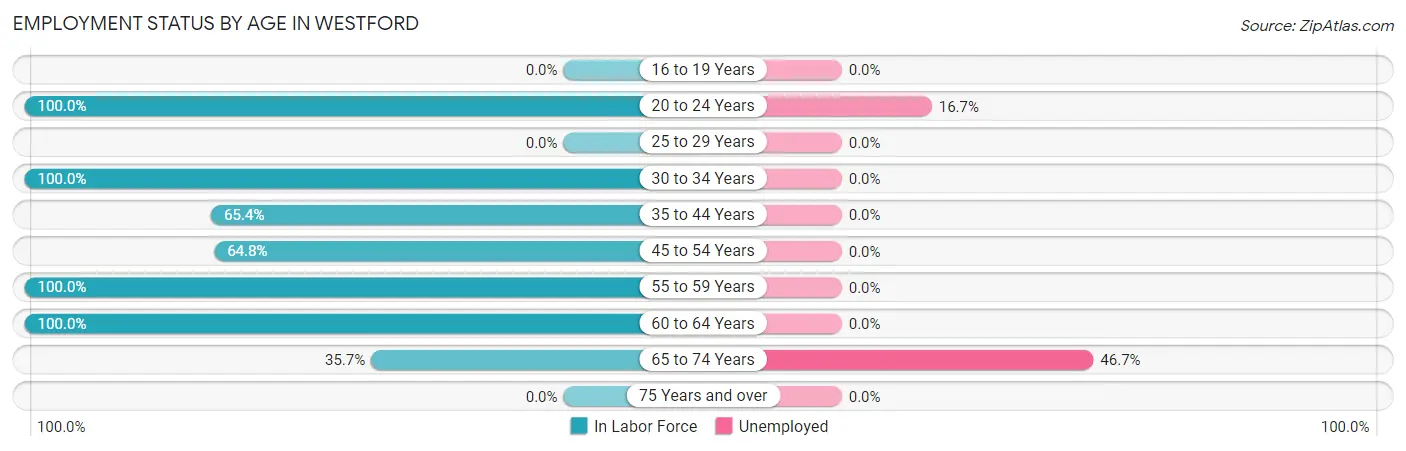 Employment Status by Age in Westford