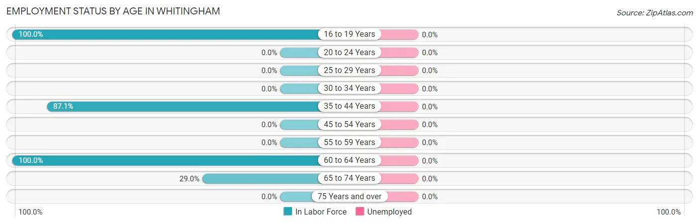 Employment Status by Age in Whitingham