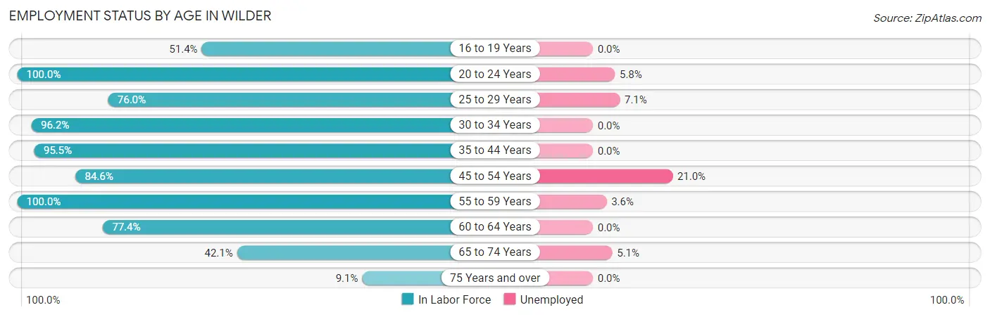 Employment Status by Age in Wilder