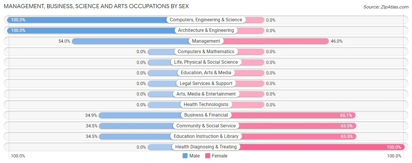 Management, Business, Science and Arts Occupations by Sex in Allyn
