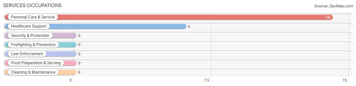 Services Occupations in Baring