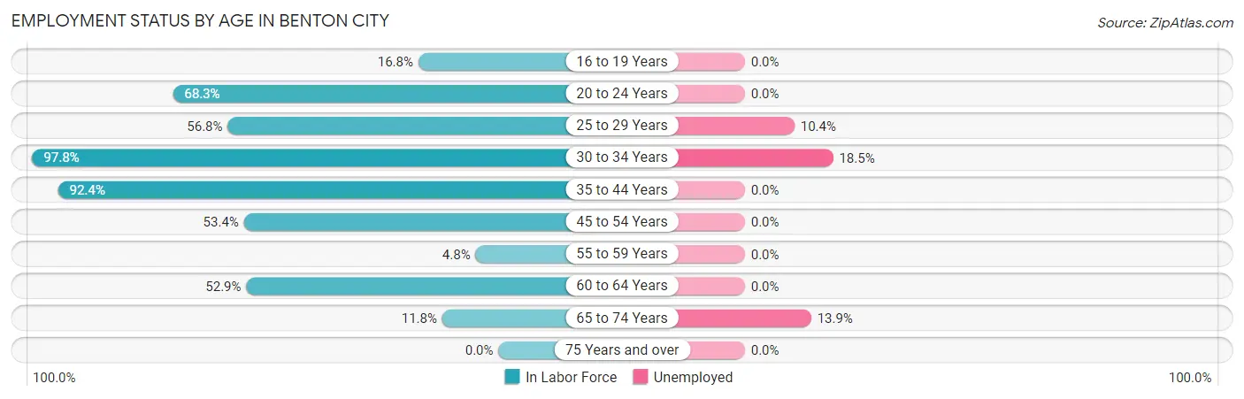 Employment Status by Age in Benton City
