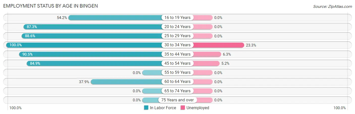 Employment Status by Age in Bingen