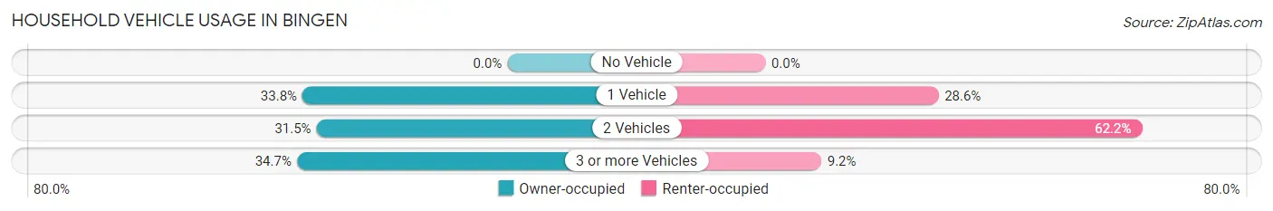 Household Vehicle Usage in Bingen