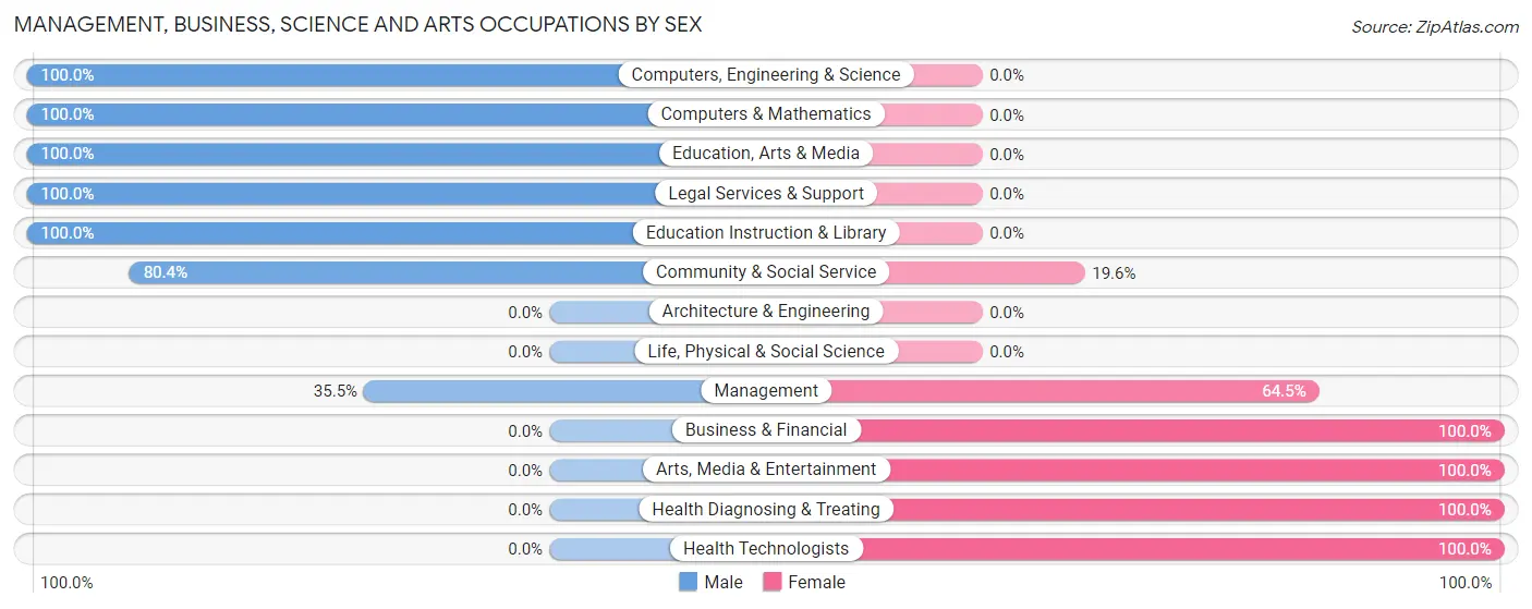 Management, Business, Science and Arts Occupations by Sex in Bingen