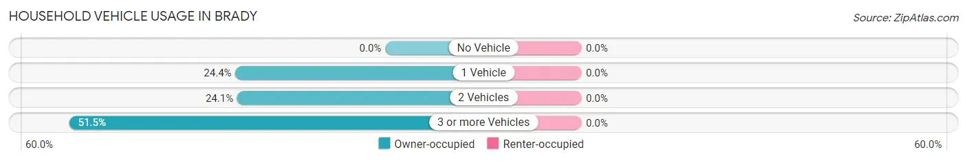 Household Vehicle Usage in Brady
