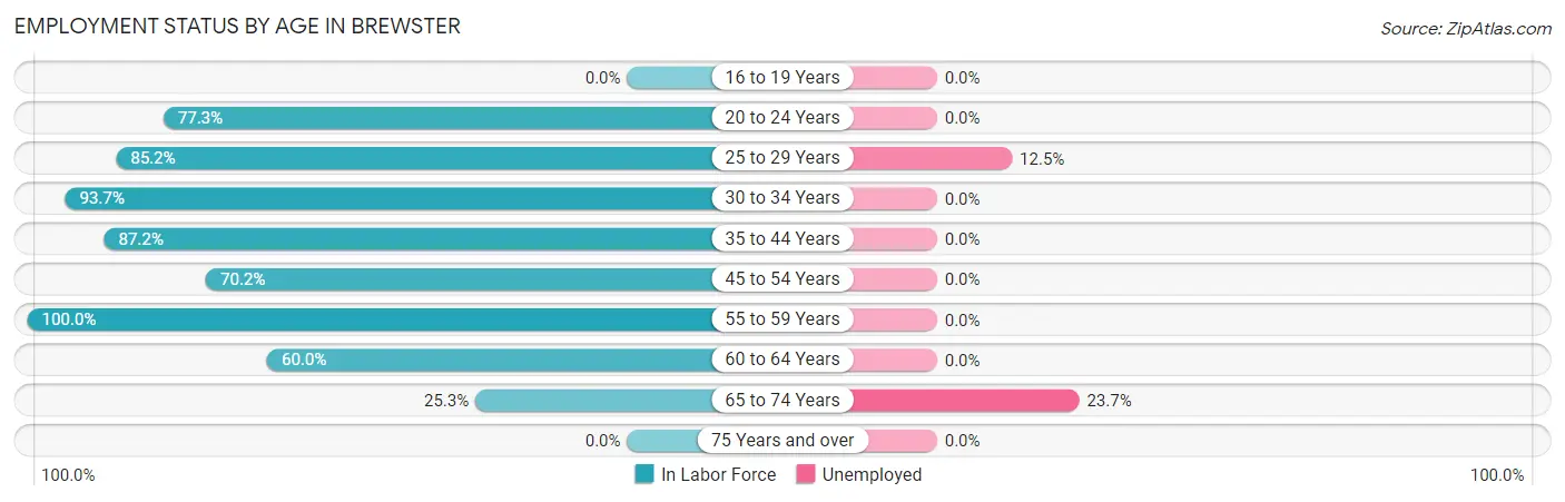 Employment Status by Age in Brewster