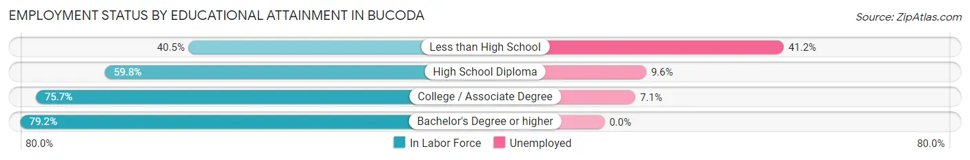 Employment Status by Educational Attainment in Bucoda