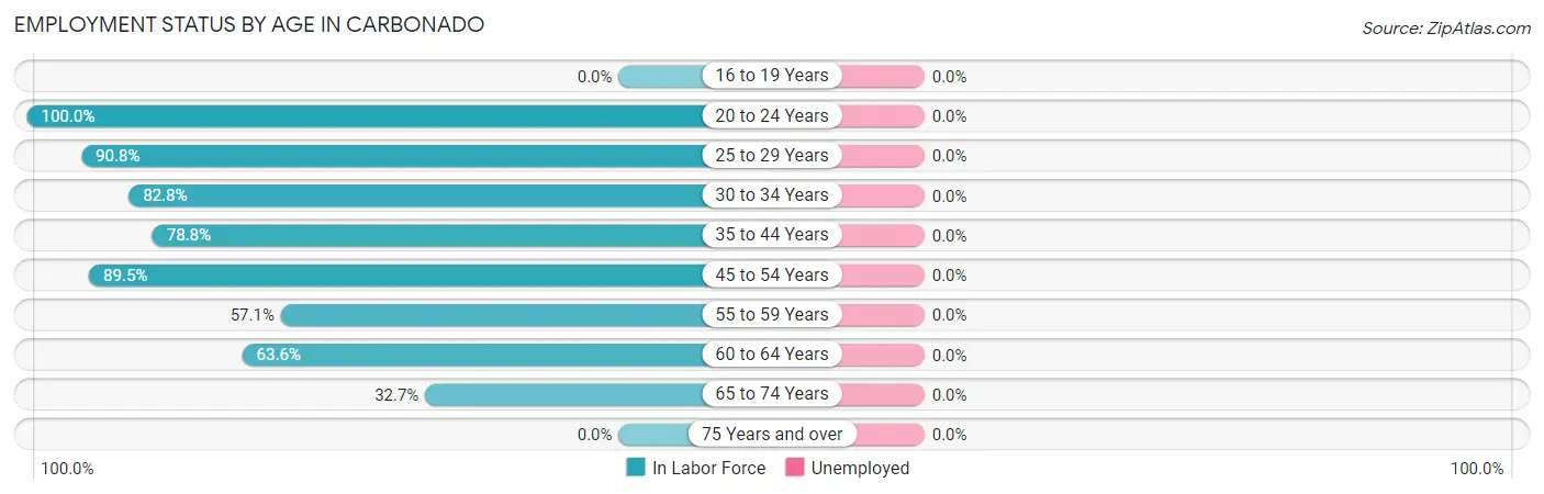 Employment Status by Age in Carbonado