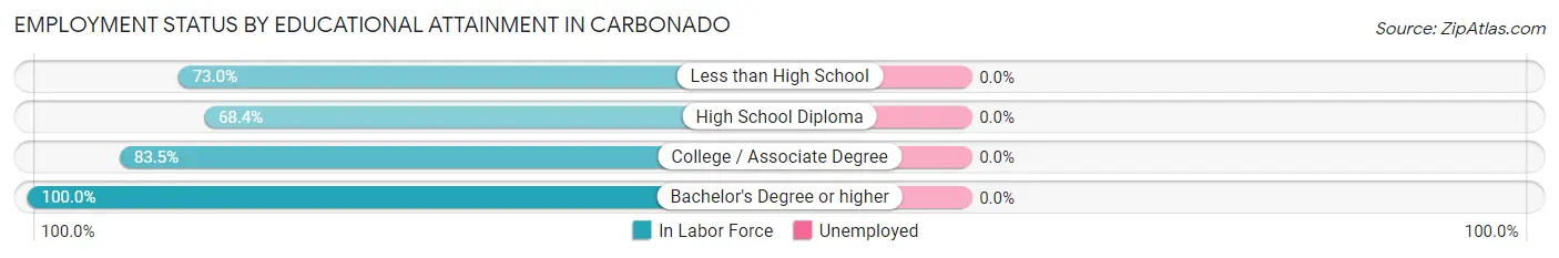 Employment Status by Educational Attainment in Carbonado