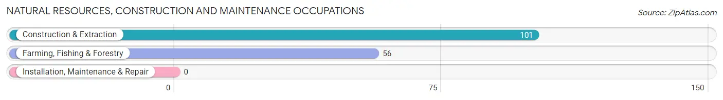 Natural Resources, Construction and Maintenance Occupations in Chinook