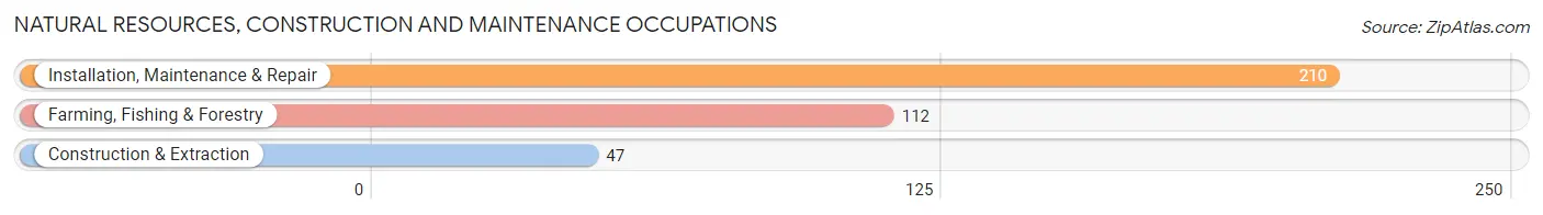 Natural Resources, Construction and Maintenance Occupations in Connell